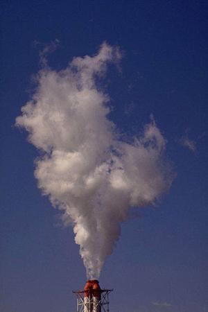 餅つき道具の購入には通販がおすすめ