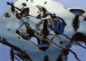 SNPジェノタイピングのサービス